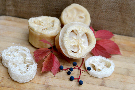 Nymph - AVETISYAN ARTISAN SOAPS | Fresh Handmade Cosmetics with Armenian Techniques | Vegetarian & Cruelty Free | AVETISYAN