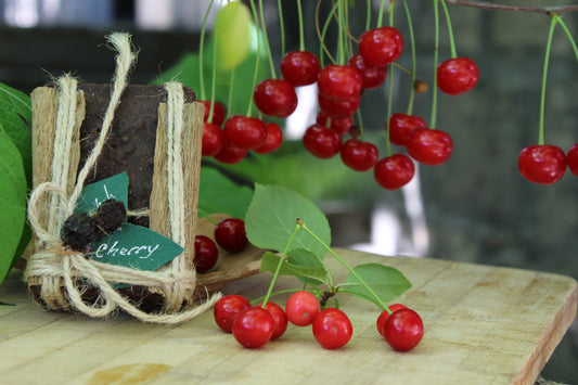 Cherry - AVETISYAN ARTISAN SOAPS | Fresh Handmade Cosmetics with Armenian Techniques | Vegetarian & Cruelty Free | AVETISYAN